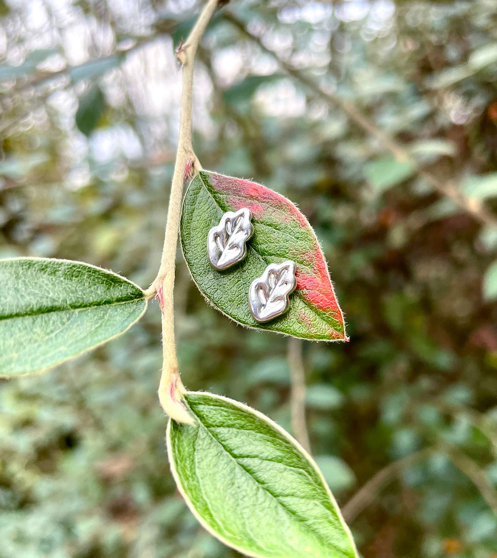 Paire de boucles d'oreilles en argent en forme de feuille de chêne vue de face.