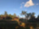 IMG_0494.jpeg