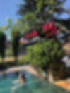 IMG_0134.jpeg