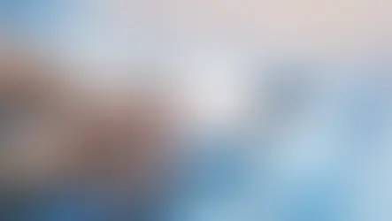 The Market Begins to Shift