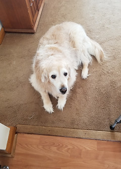 20190308_114109.jpg