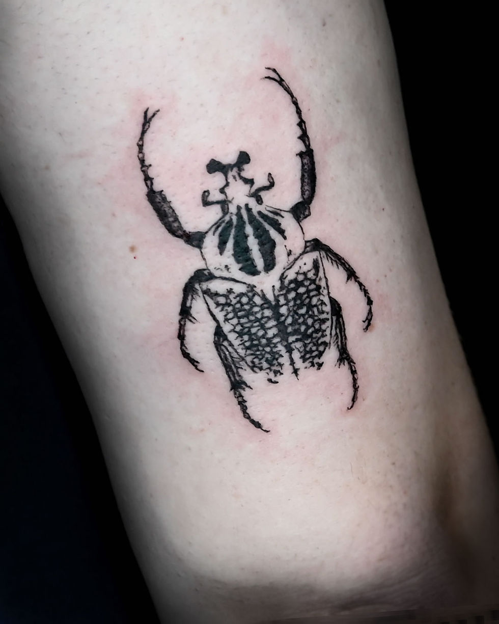 Beetle Pattern design