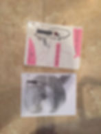 Ron Zemp Las Vegas Medical