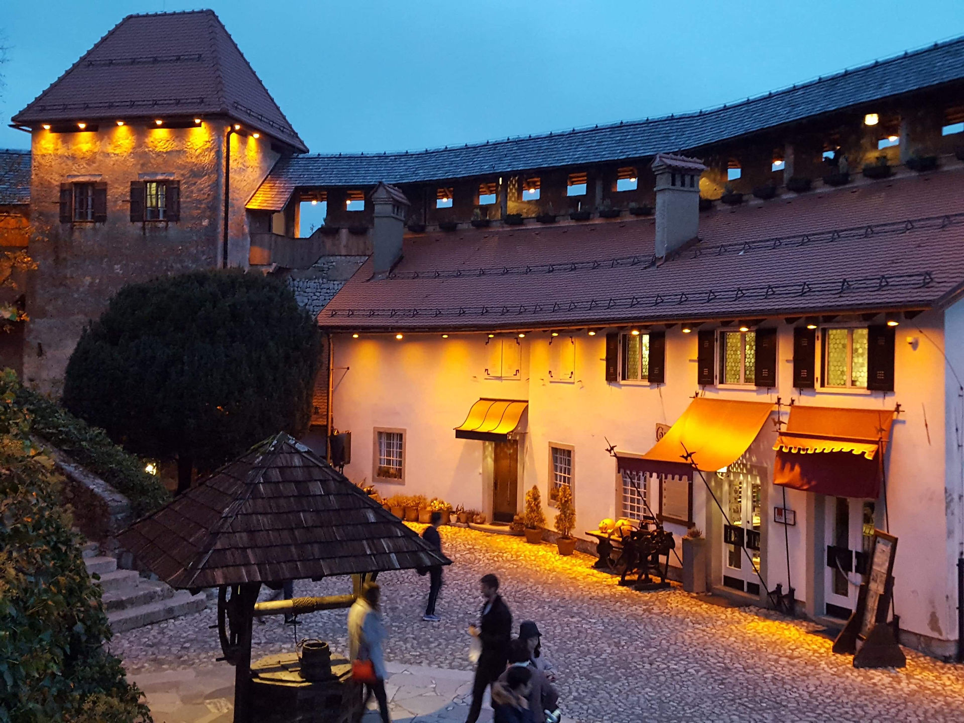 bled 7