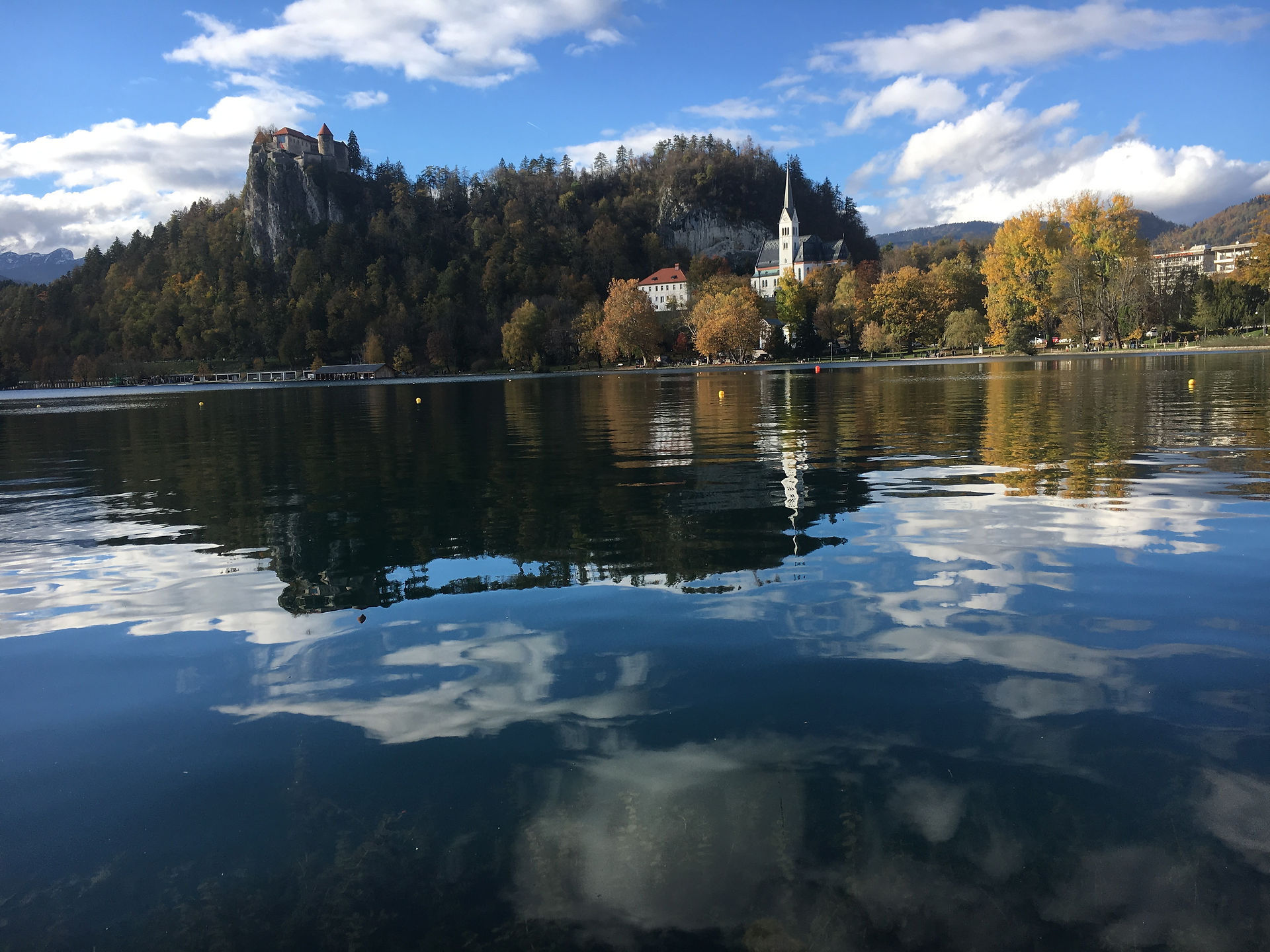 bled 5
