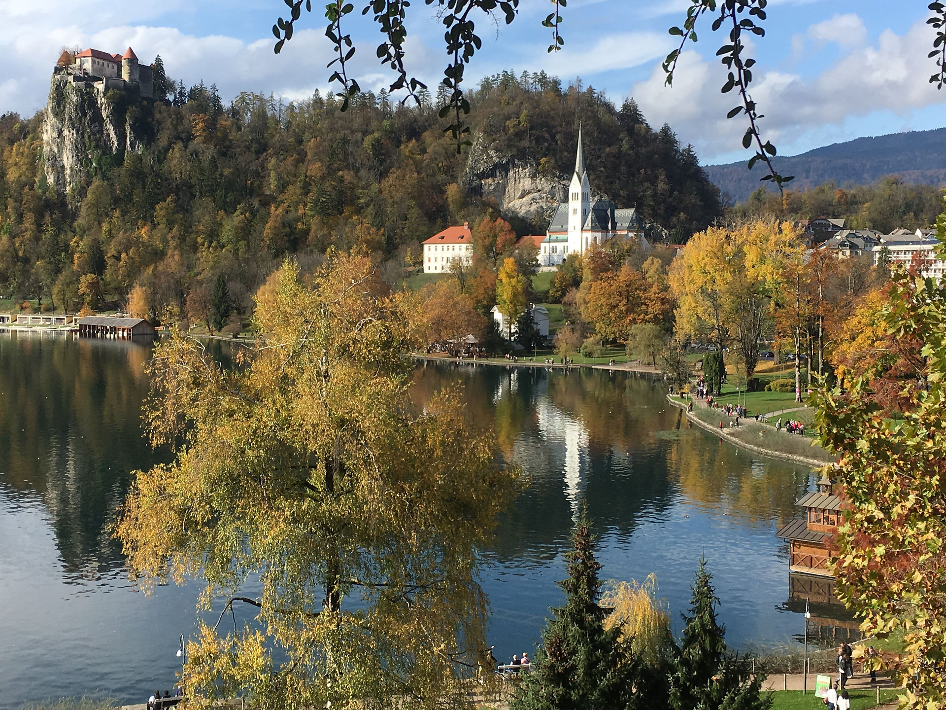 bled 2