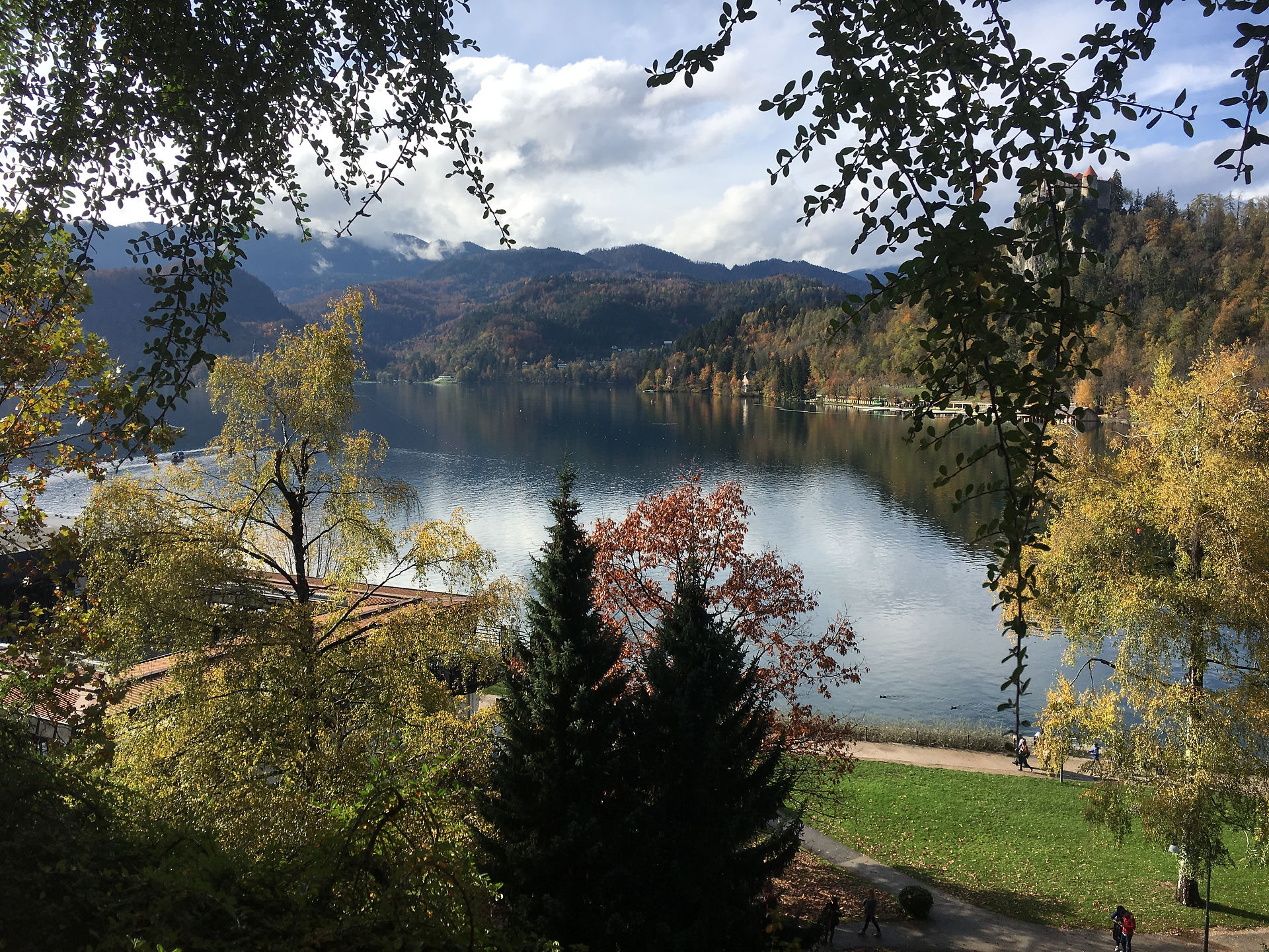 bled 8