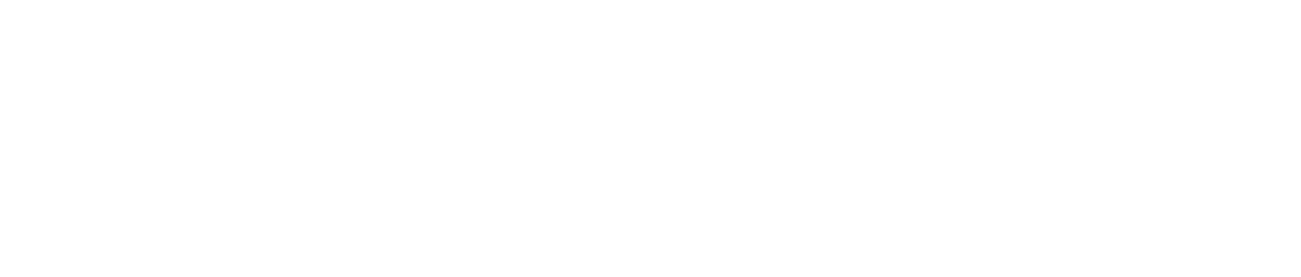Hyponext Logo_edited_edited.png