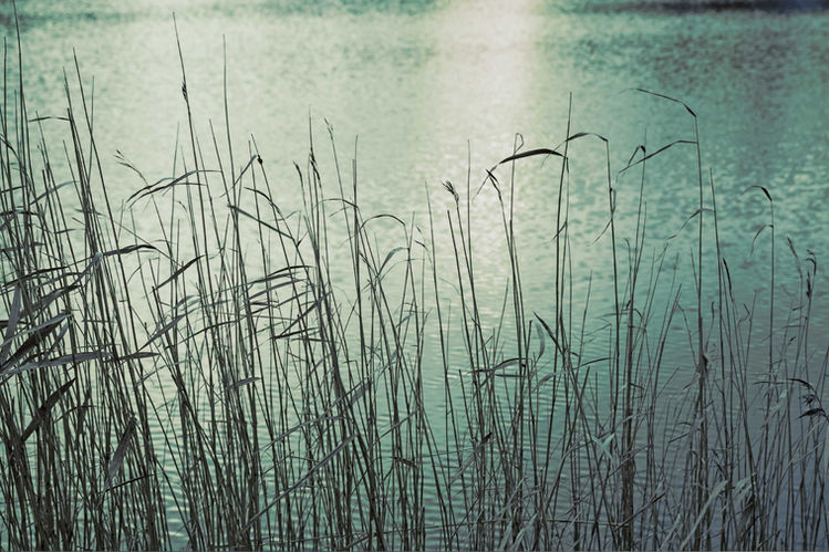 ärztliche osteopathie praxis landsberg 07