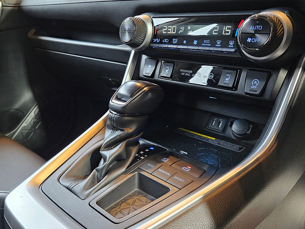縮圖：2019 TOYOTA RAV4 DELUXE