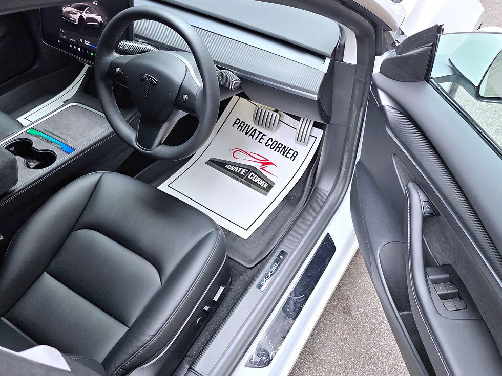 縮圖：2023 TESLA MODEL 3 PERFORMANCE
