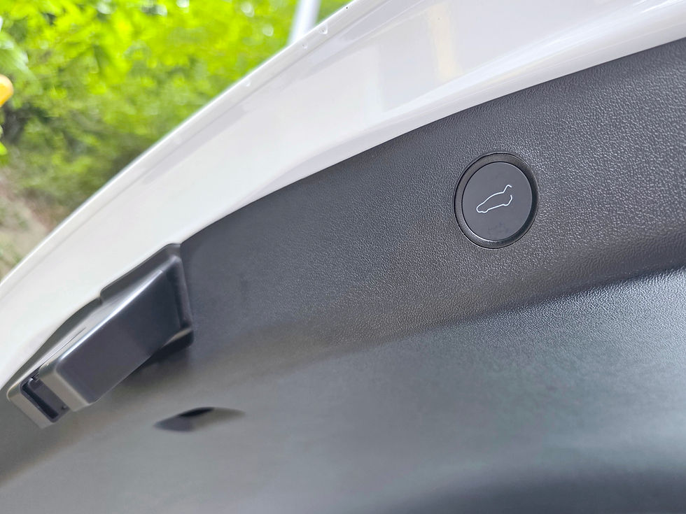 縮圖：2023 TESLA MODEL 3 PERFORMANCE