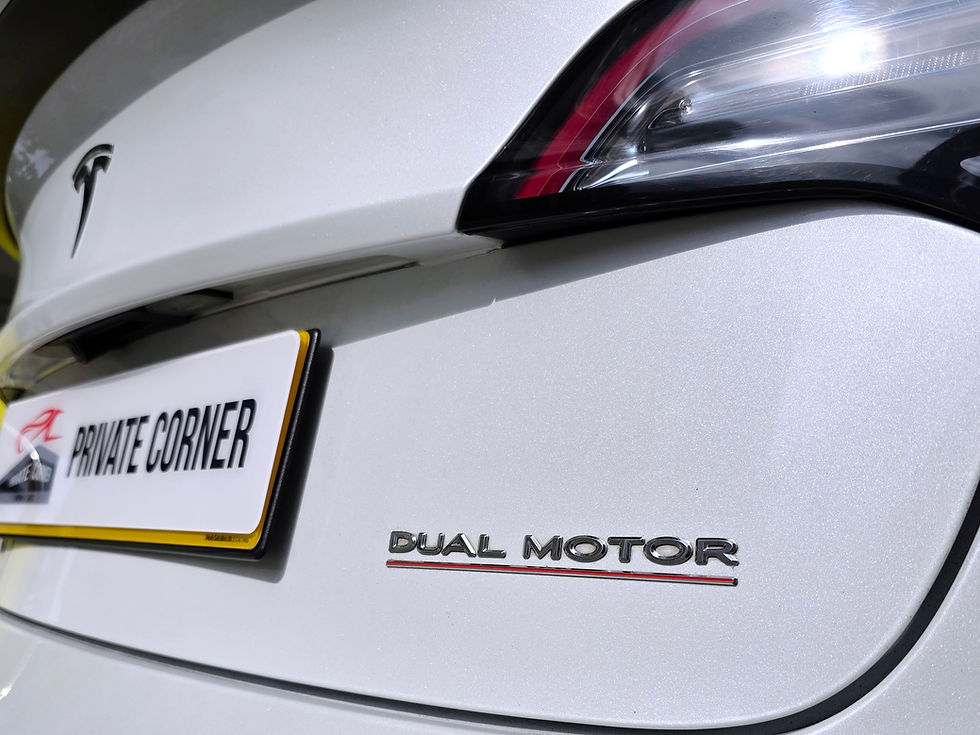 縮圖：2020 TESLA MODEL 3 PERFORMANCE