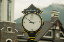 RainBird x Tan Thanh Son