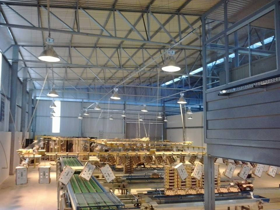 Vista Interna Iluminada da Indústria de Selecionamento de Abacates - Obra Tsuge