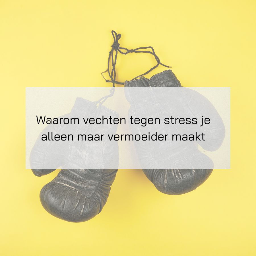 Waarom vechten tegen stress je alleen maar vermoeider maakt