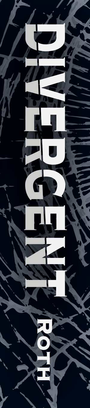Divergent Book Sleve3