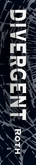 Divergent Book Sleve3
