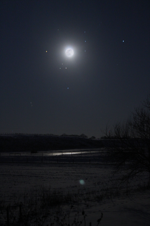 goodnight moon