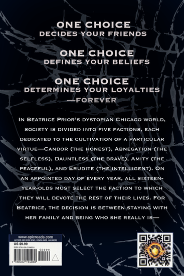 Divergent Book Sleve2