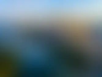 Perché l'élite mondiale sta scegliendo Austin, Texas