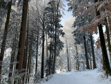 Morgen Sonntag spontan in den Schnee?