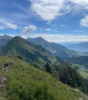 pierre-chatel-innocenti-Lk-nu_hX6ms-unsplash 2.png