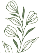 flor.png