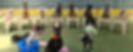 20220715_105609 Cut_edited.jpg