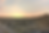 Herd of sheep grazing in the Karakum Desert at sunset in Turkmenistan with soft evening sky