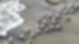 plovers_2024_edited.jpg