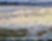 twin-lights-cape-ann-ma_myatt_2024_edited.jpg