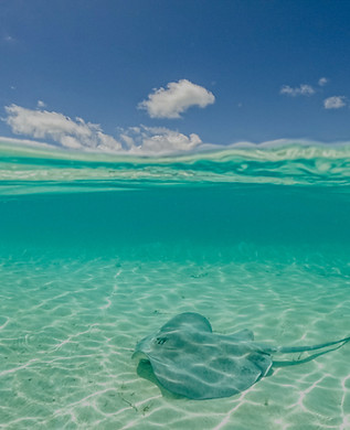 The Bahamas_edited.jpg