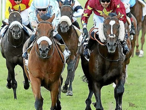 Pronosticos San Sebastian 12/08/18