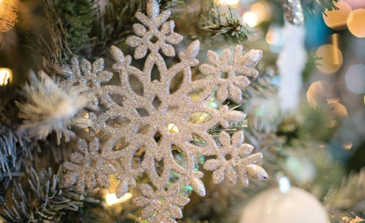 Winter Newsletter