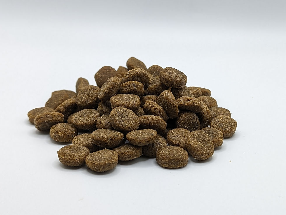 Thumbnail: Lamm Getreidefrei