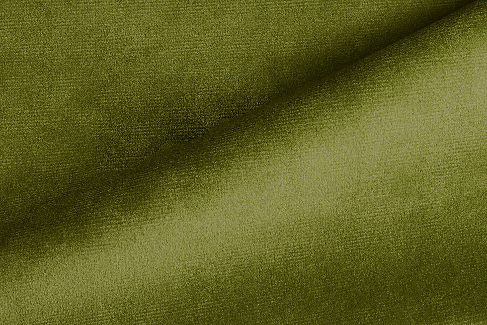 Paris Velvet Lima Fabric