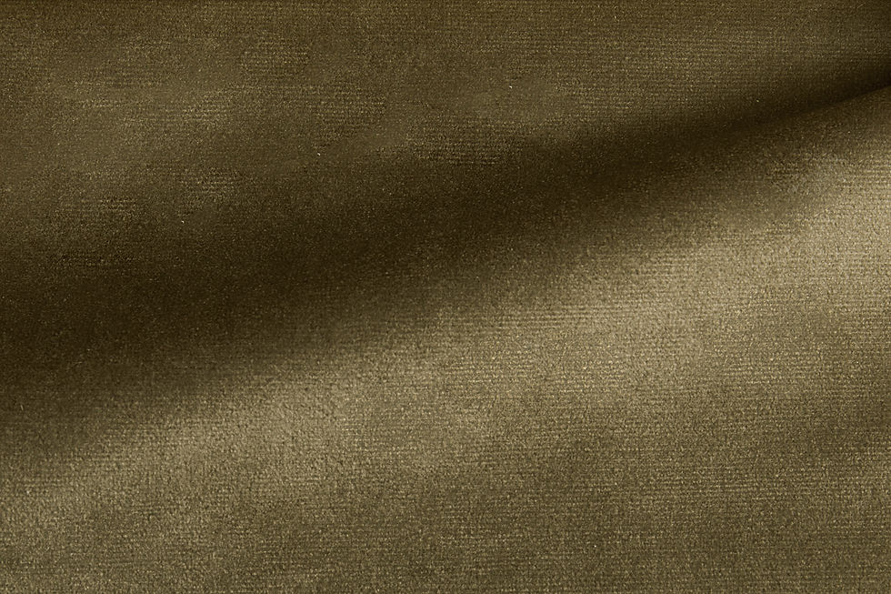 Paris Velvet Taupe Fabric