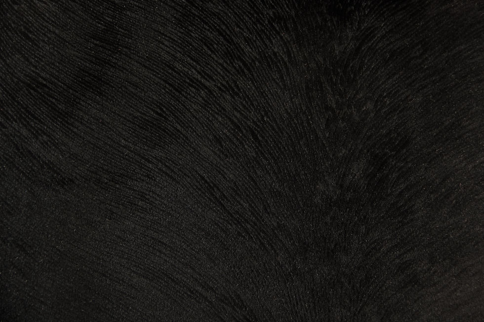 Hide Velvet Coal Fabric
