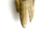 Thumbnail: PASSION | SCONCE