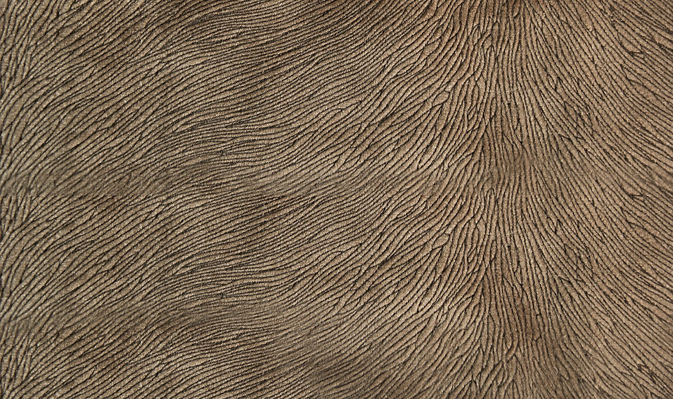 Hide Velvet Truffle Fabric