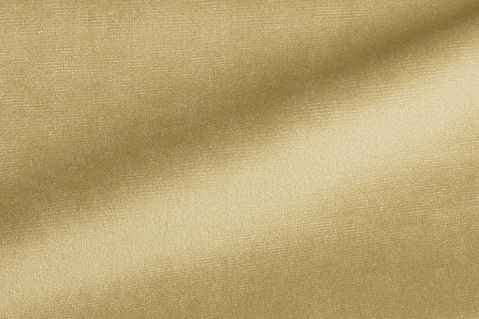 Paris Velvet Beige Fabric