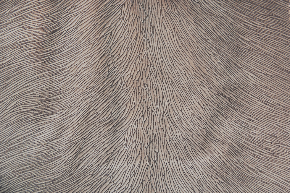 Hide Velvet Nougat Fabric