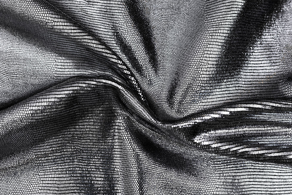 Salamander Black Silver