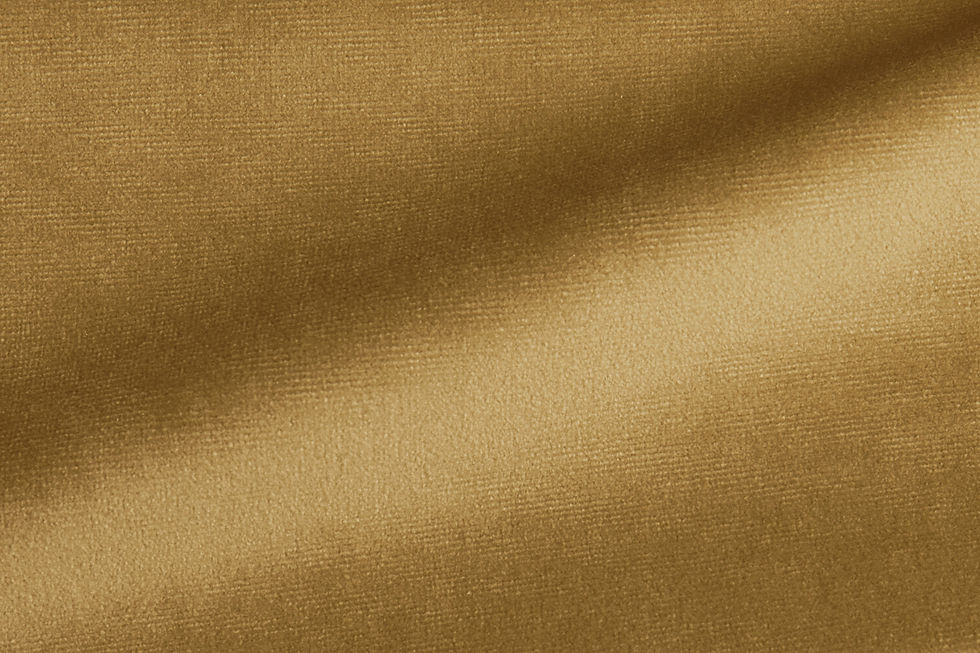 Paris Velvet Lion Fabric