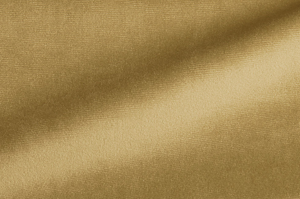 Paris Velvet Camel Fabric