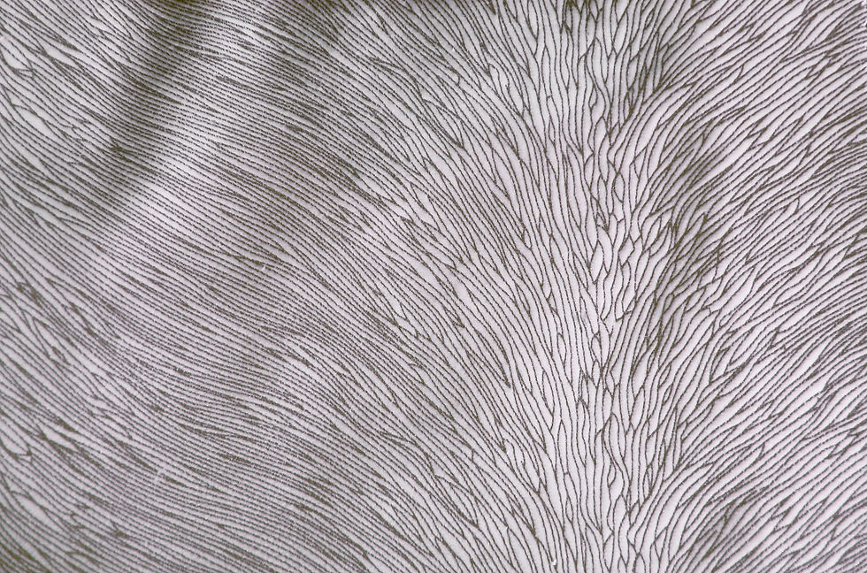 Hide Velvet Frost Fabric