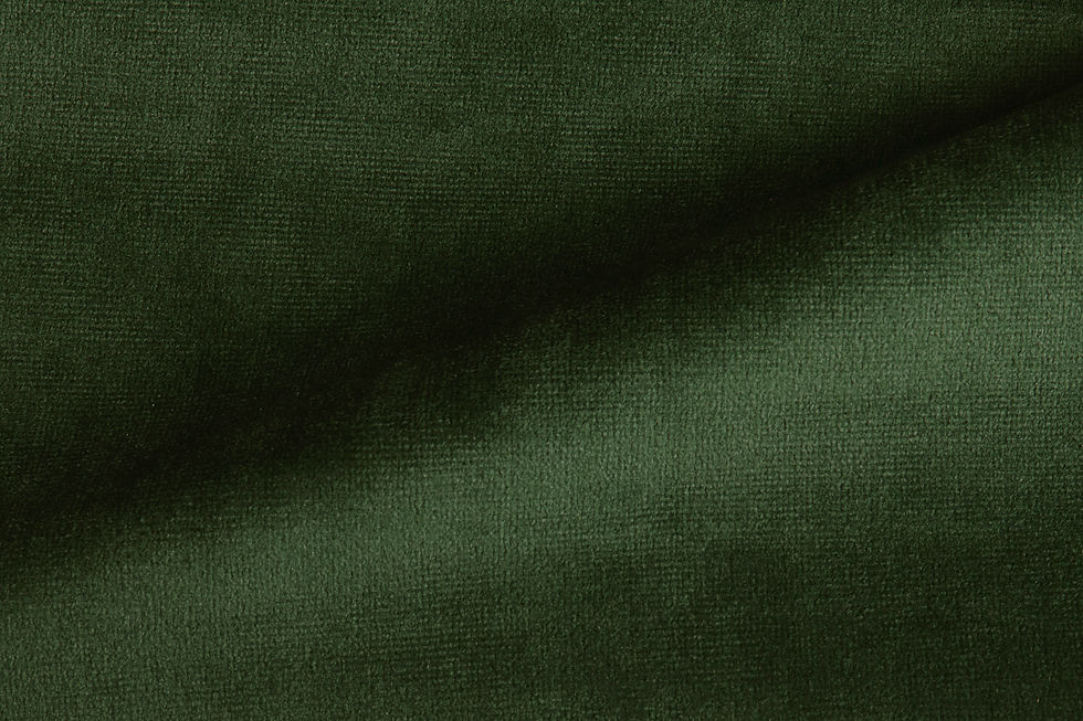 Paris Velvet Green Fabric