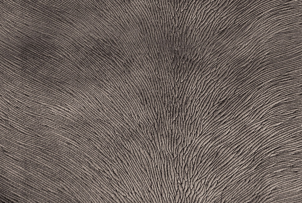 Hide Velvet Otter Fabric