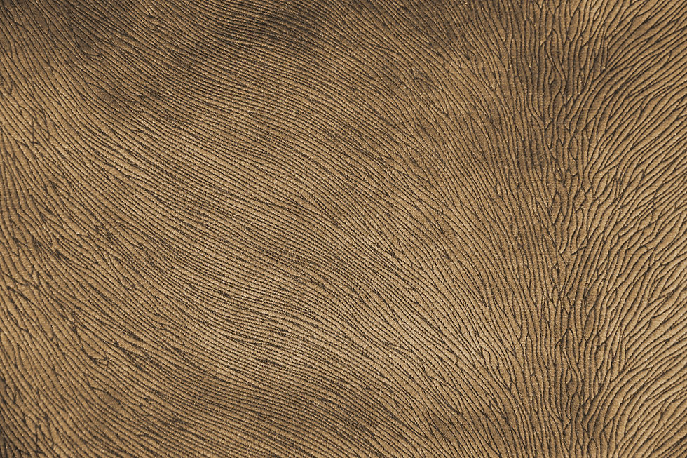 Hide Velvet Fudge Fabric